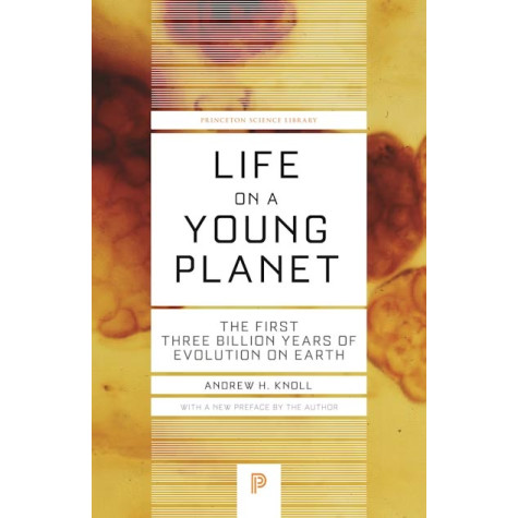 Life on a Young Planet: The First Three Billion Years of Evolution on Earth